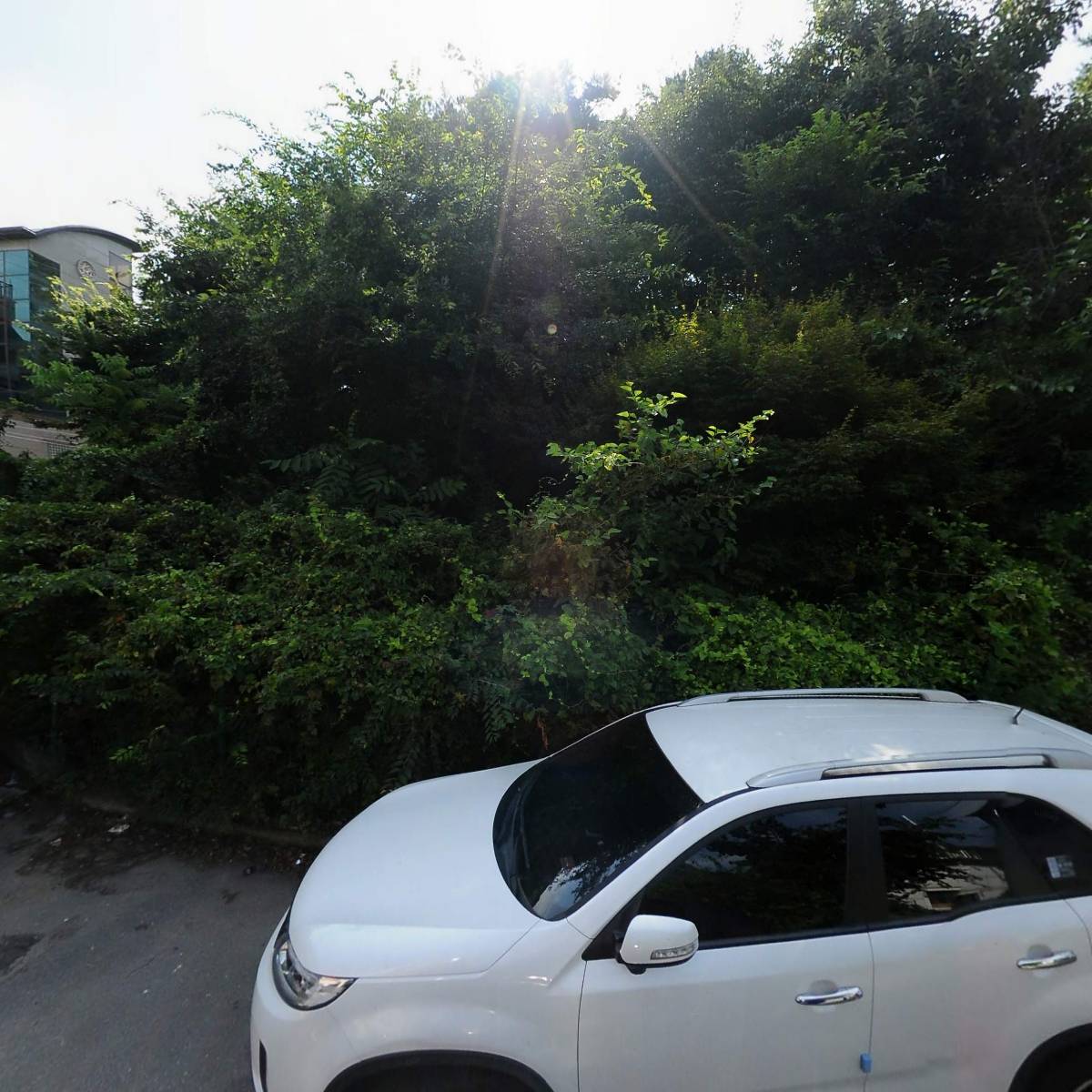 코리아핑크맵(KoreaPinkmap)