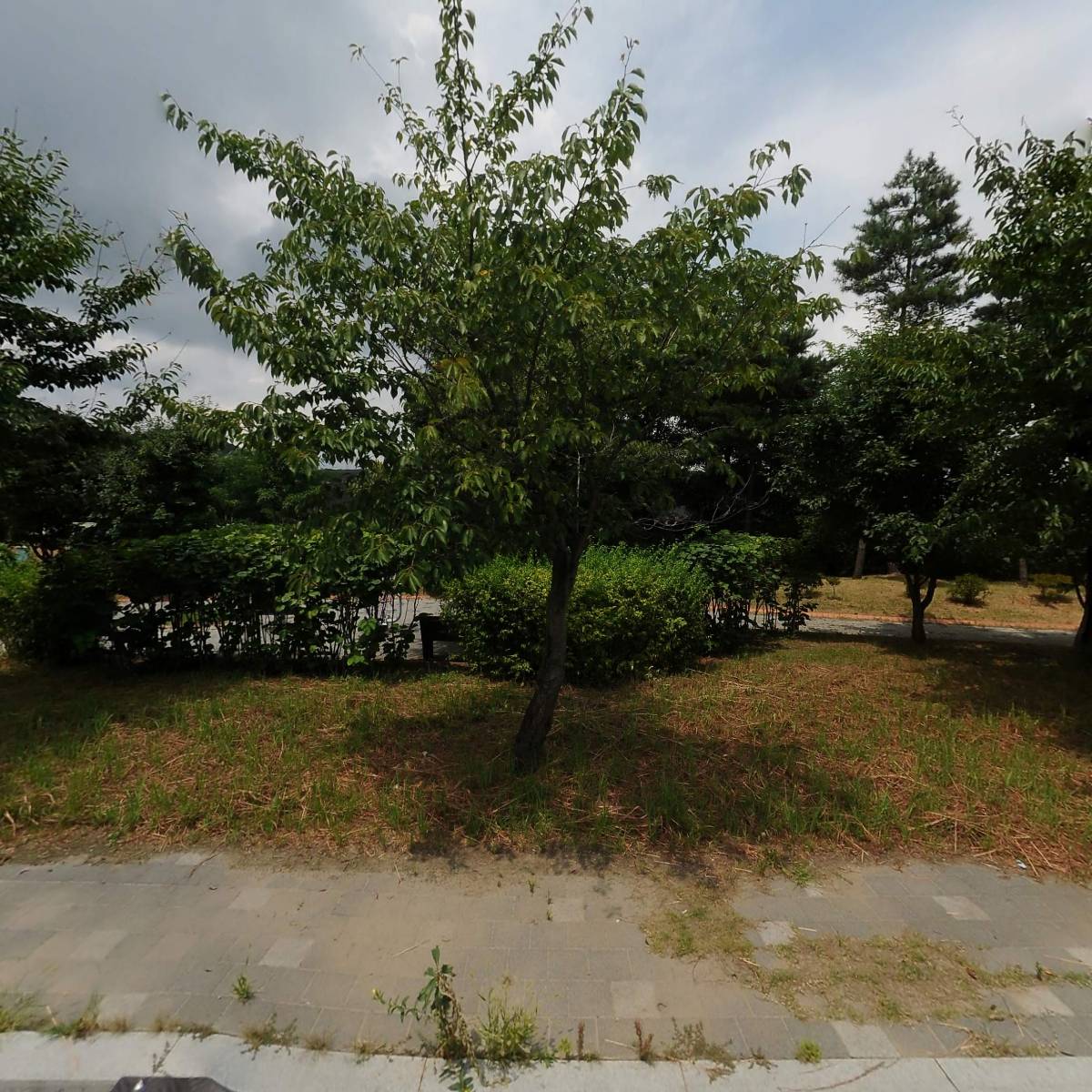 케이비에프(주)