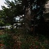 대명상사_3
