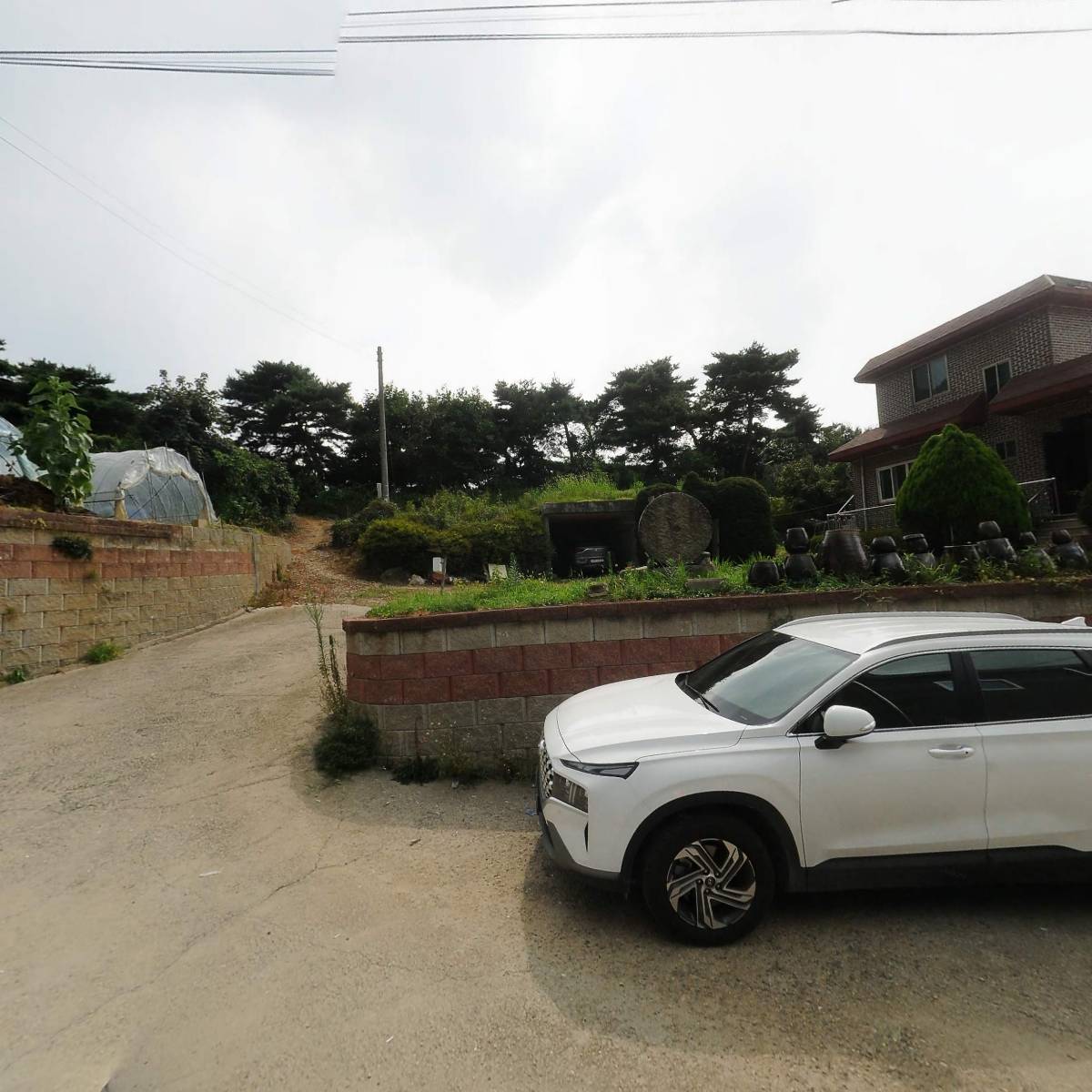 주식회사패킹덤