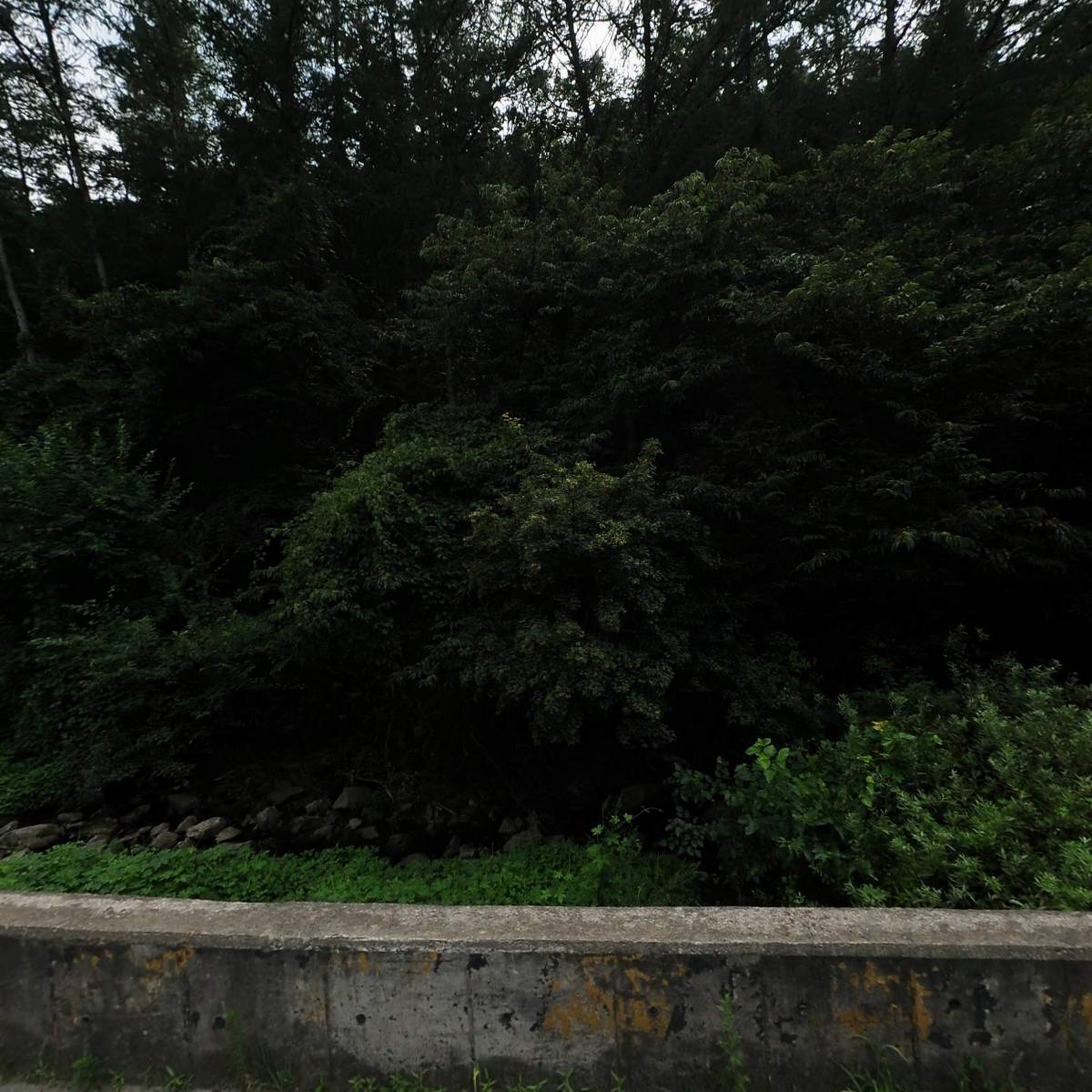 한국불교태고종 수왕사