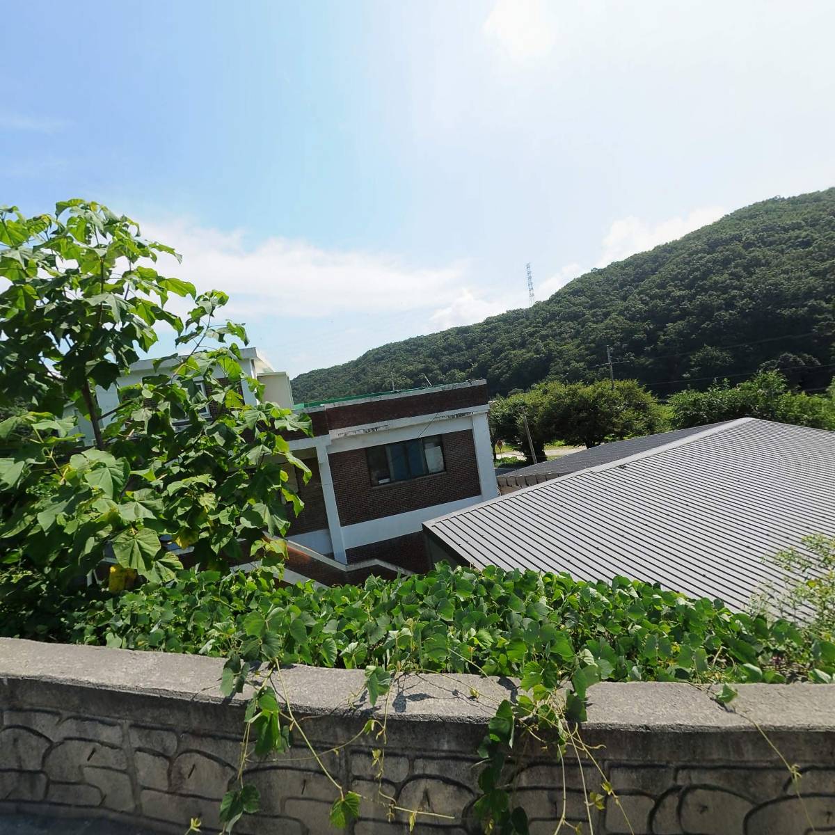 제트텍