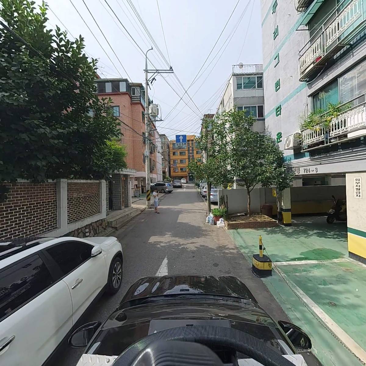 파흐모아_4