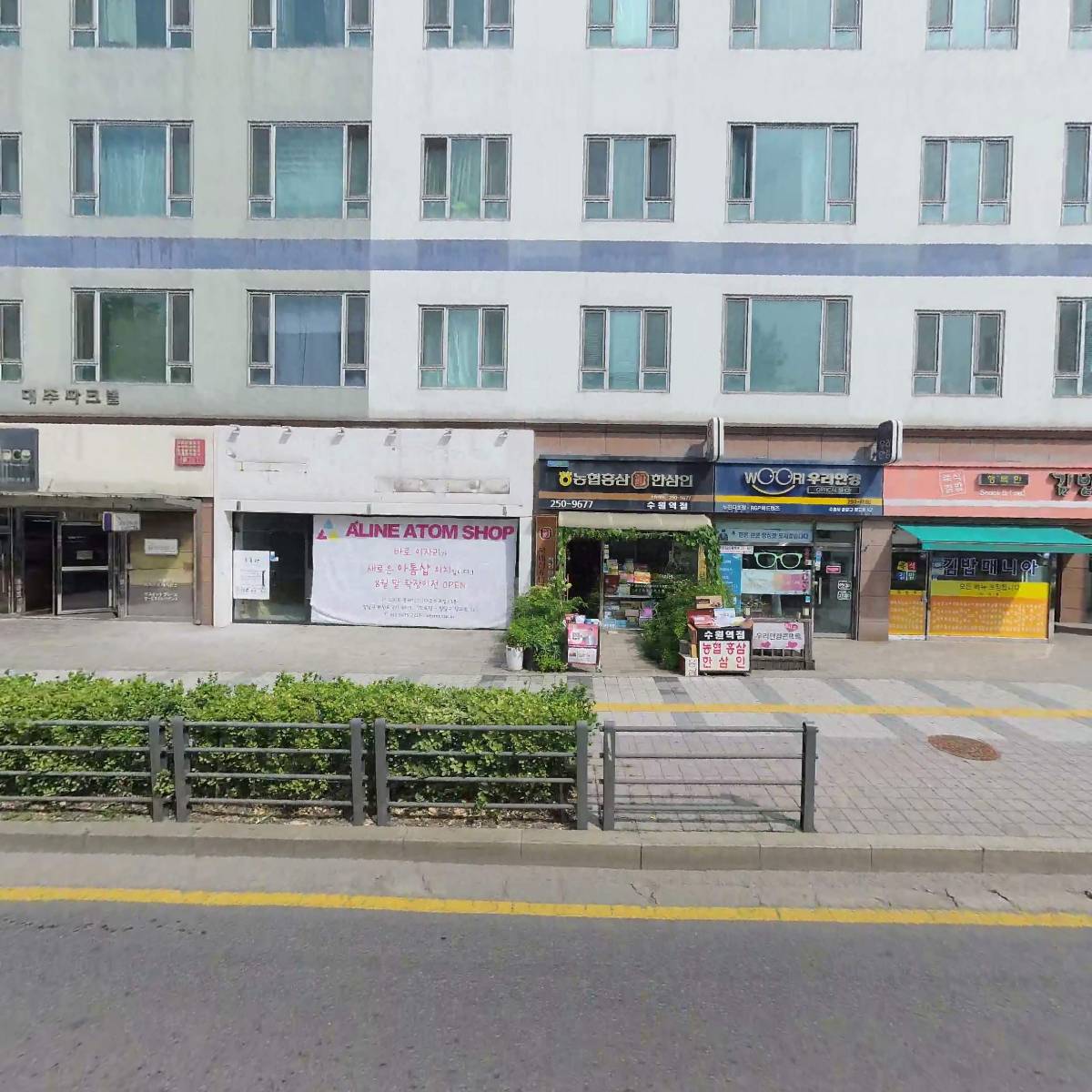 위자드솔루션