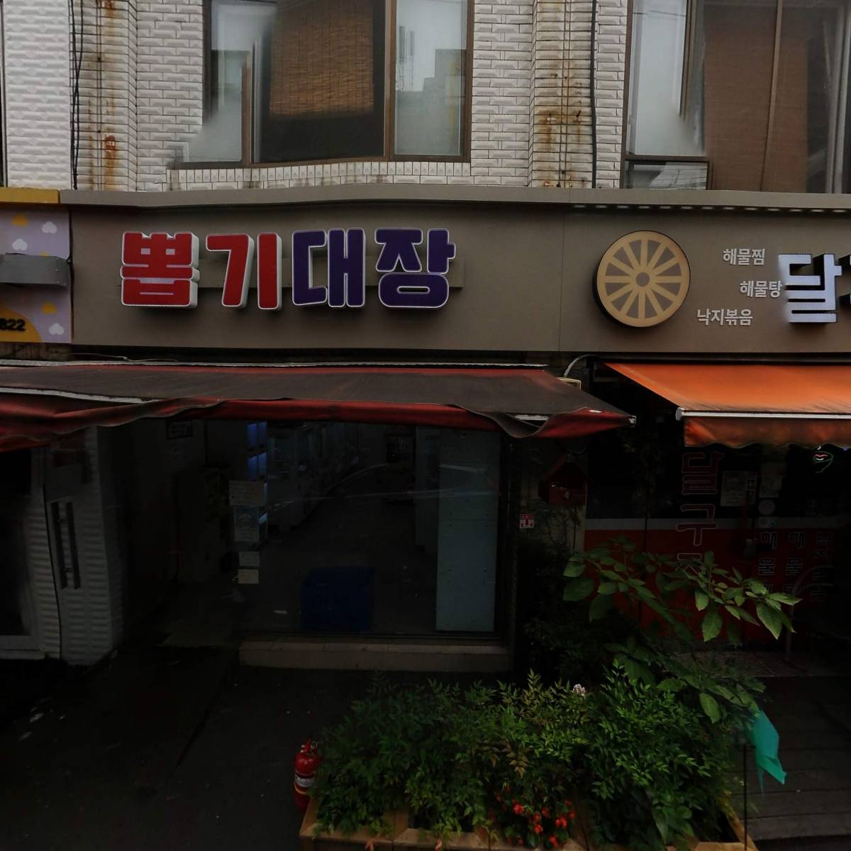 시루본떡