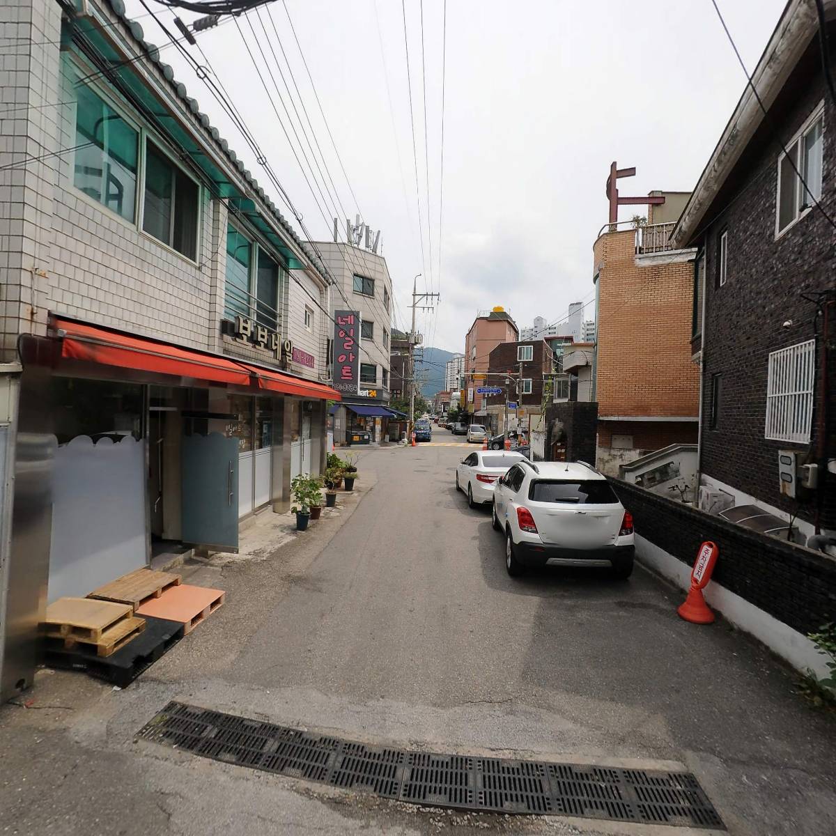 코르샤_2