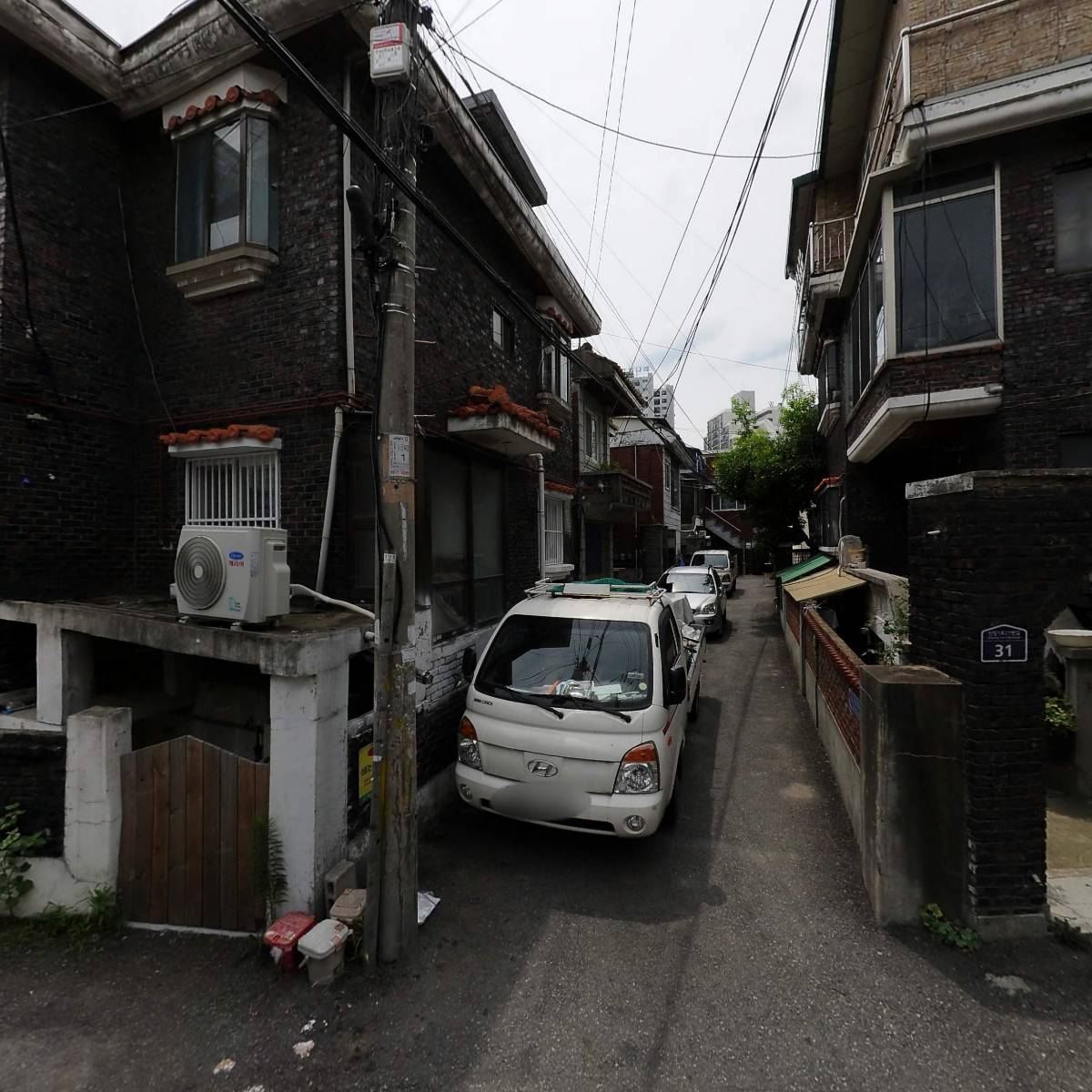 코르샤_3