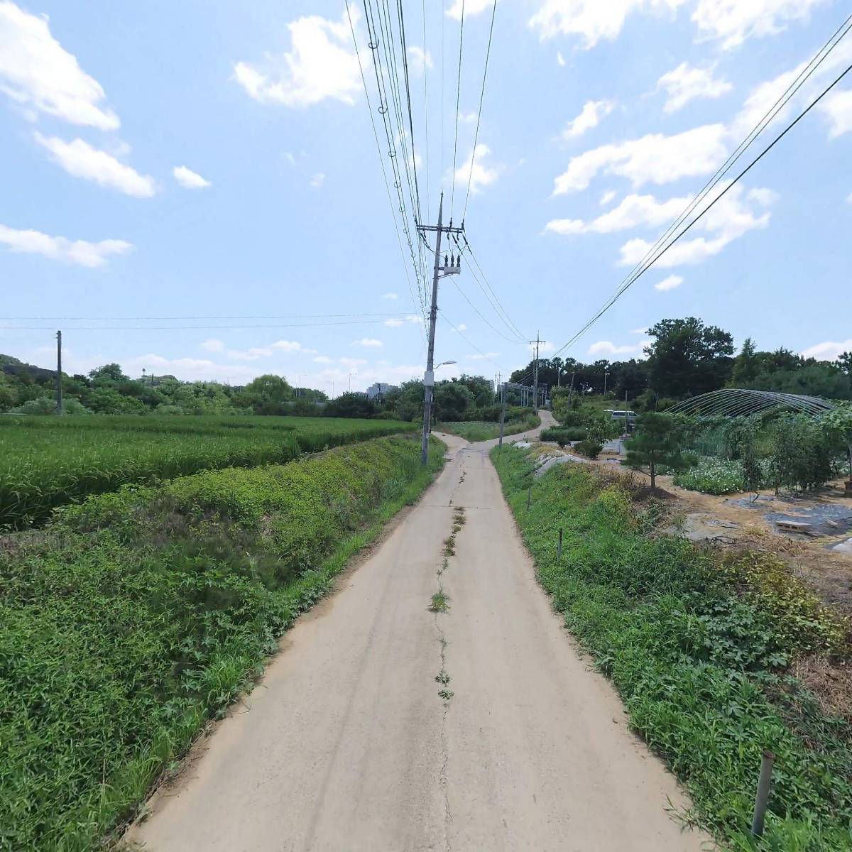 도그캠프 공항점_2