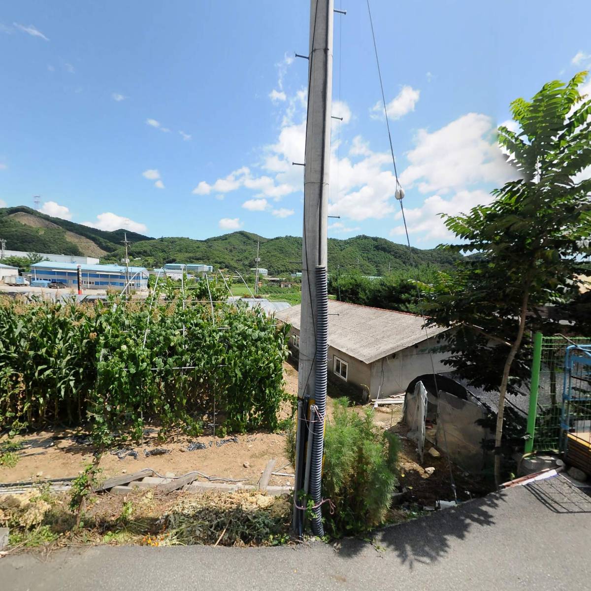 영양쌀밥옥이_3