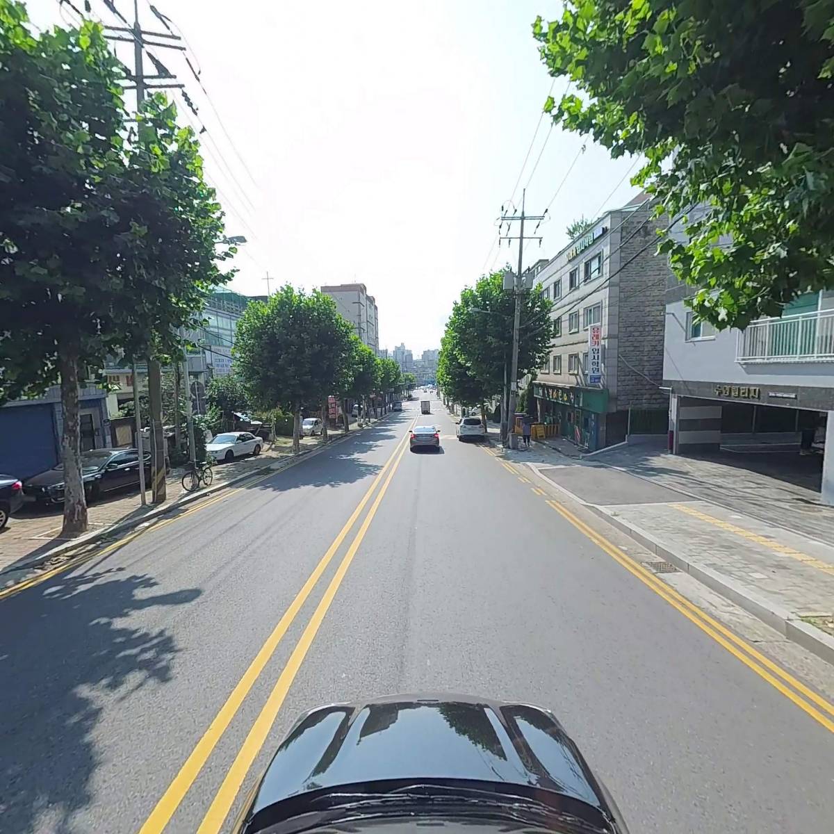 로드리치_4