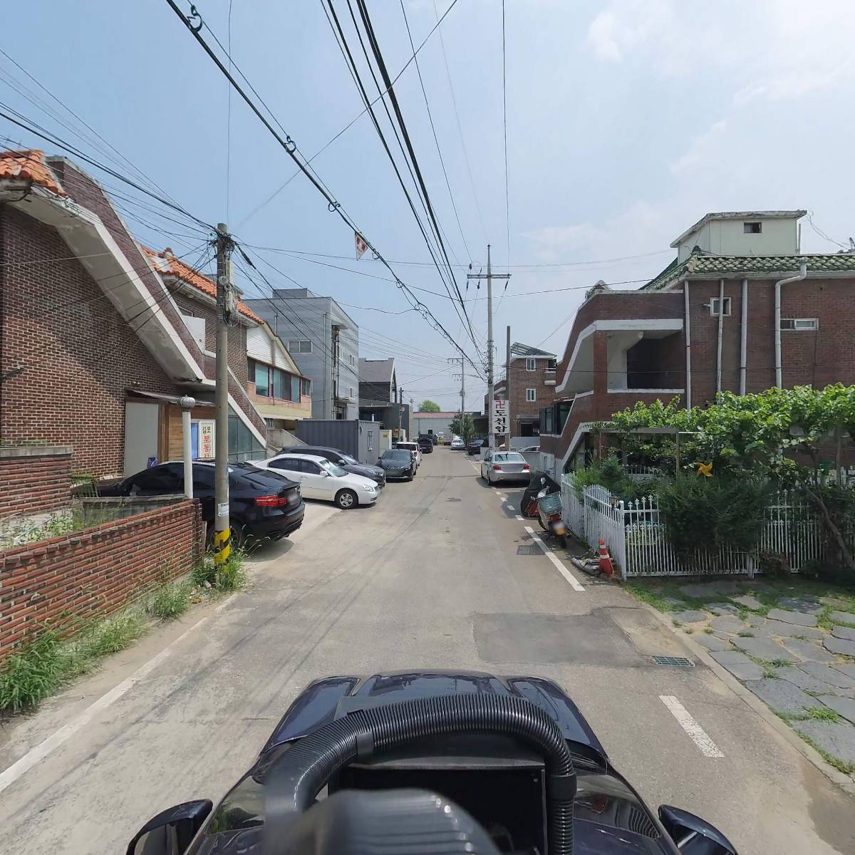 삼지코리아_4