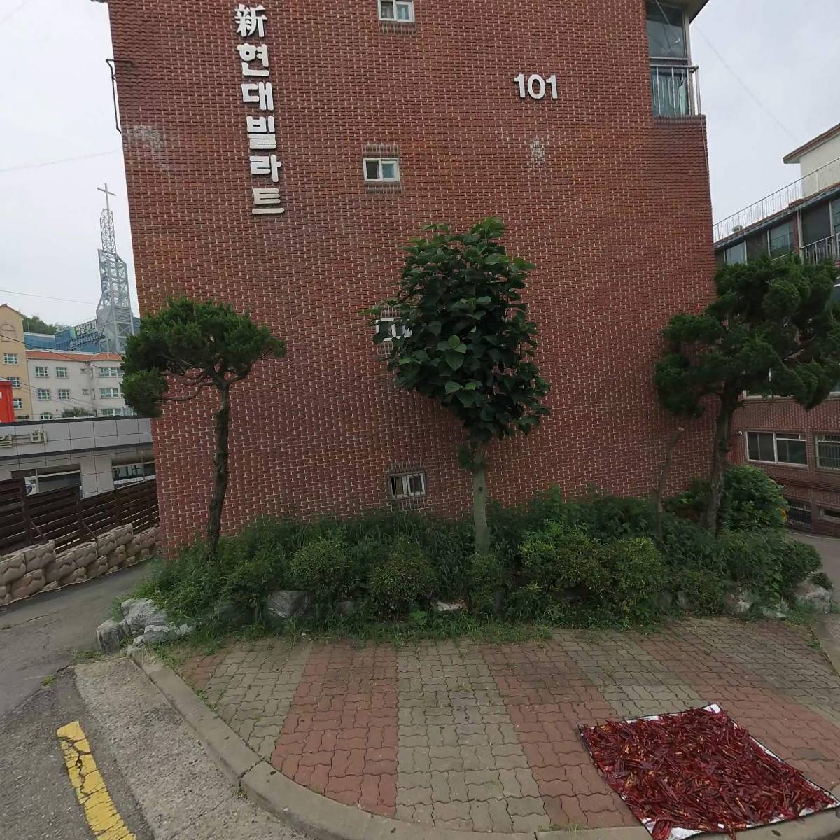 디자인 아든