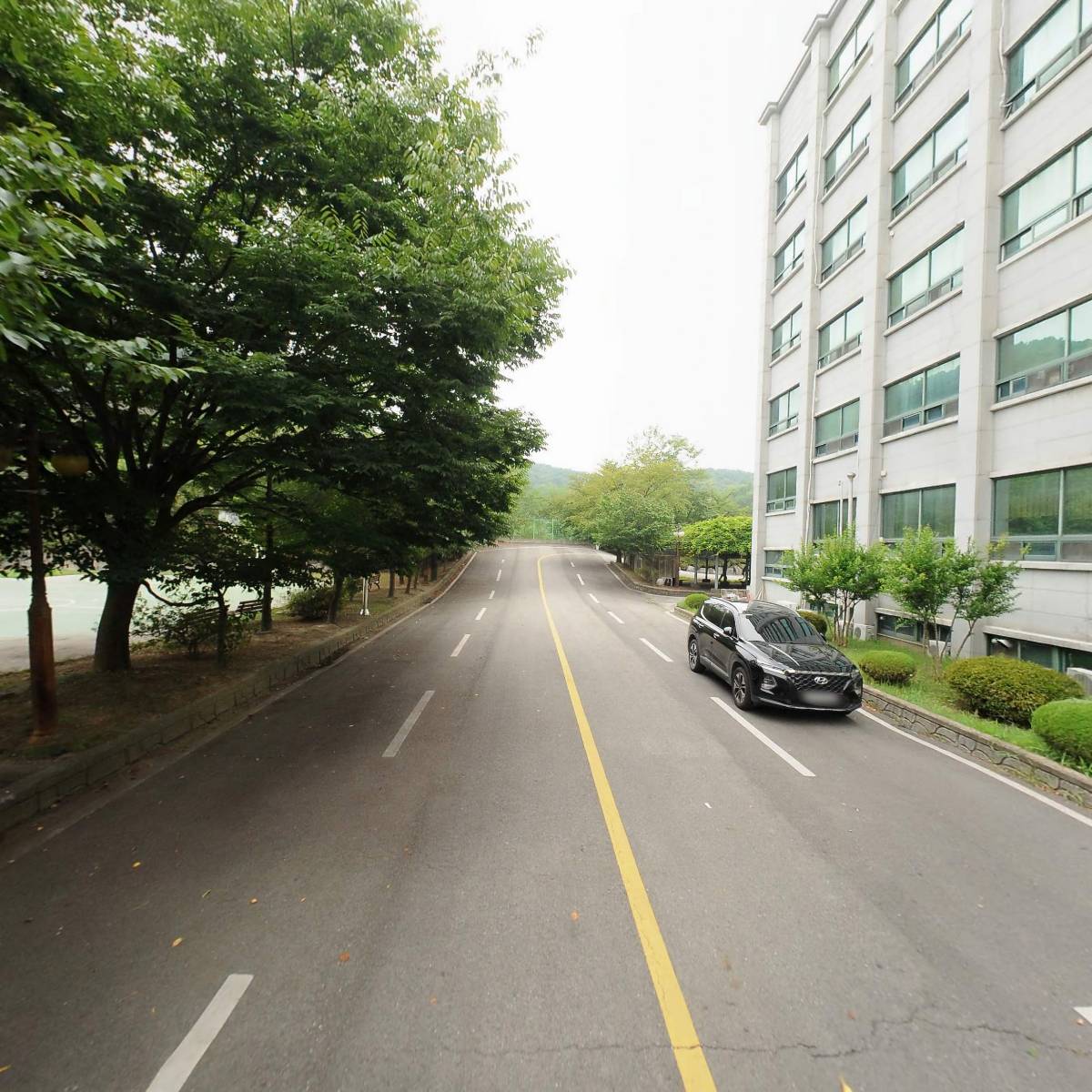 주식회사 늘푸르다_2