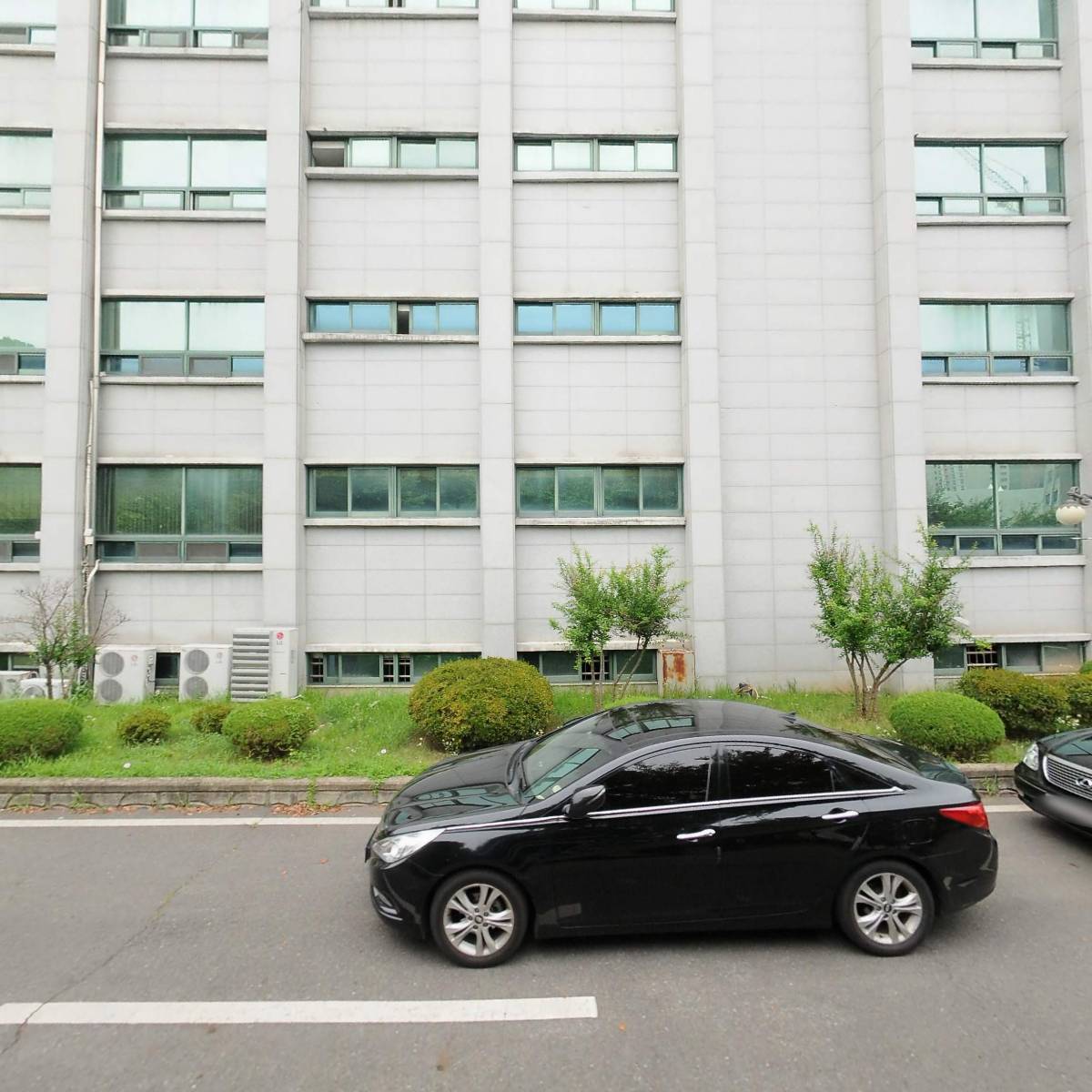 주식회사 늘푸르다_3