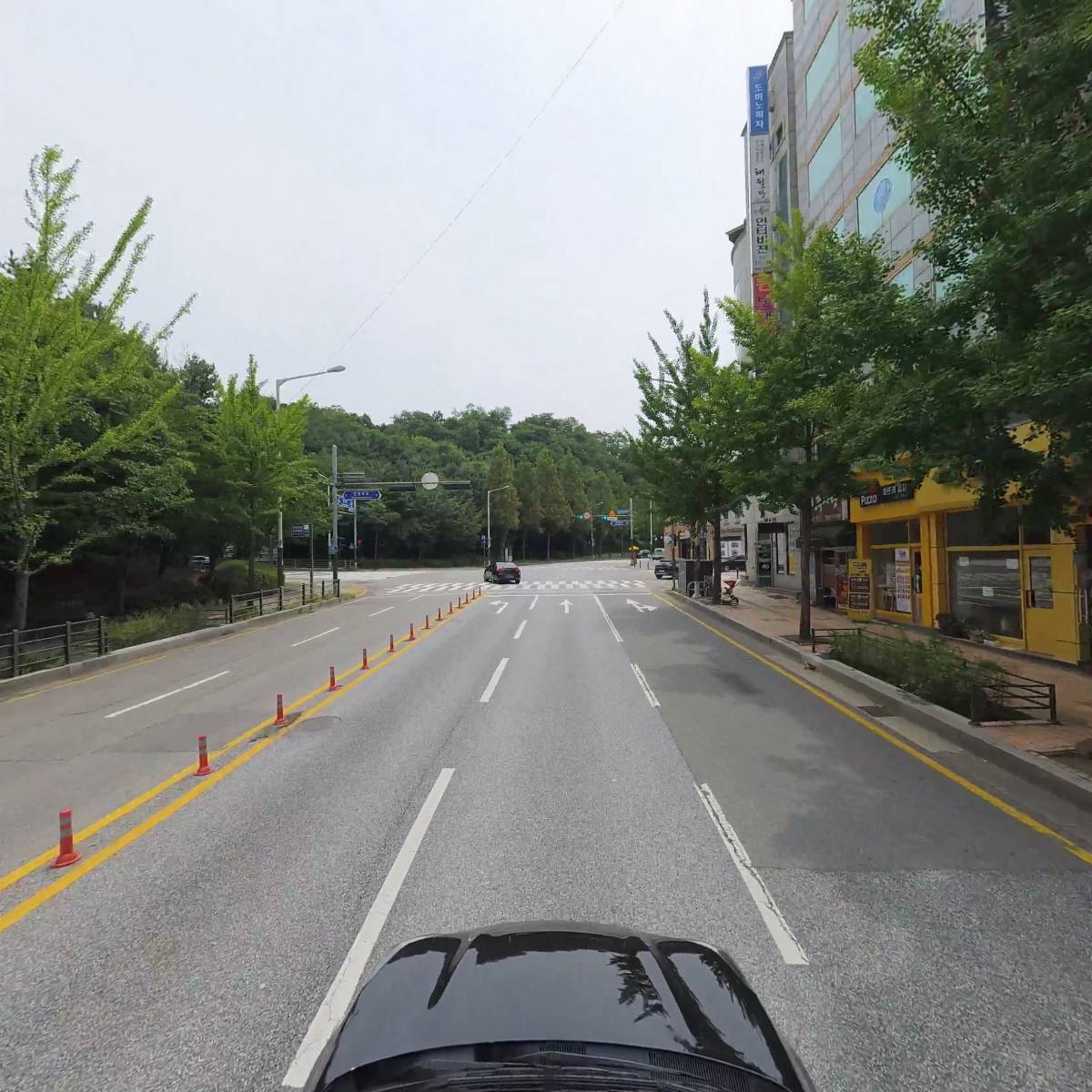 수원고양이호텔 가토캣슬 영통점_4