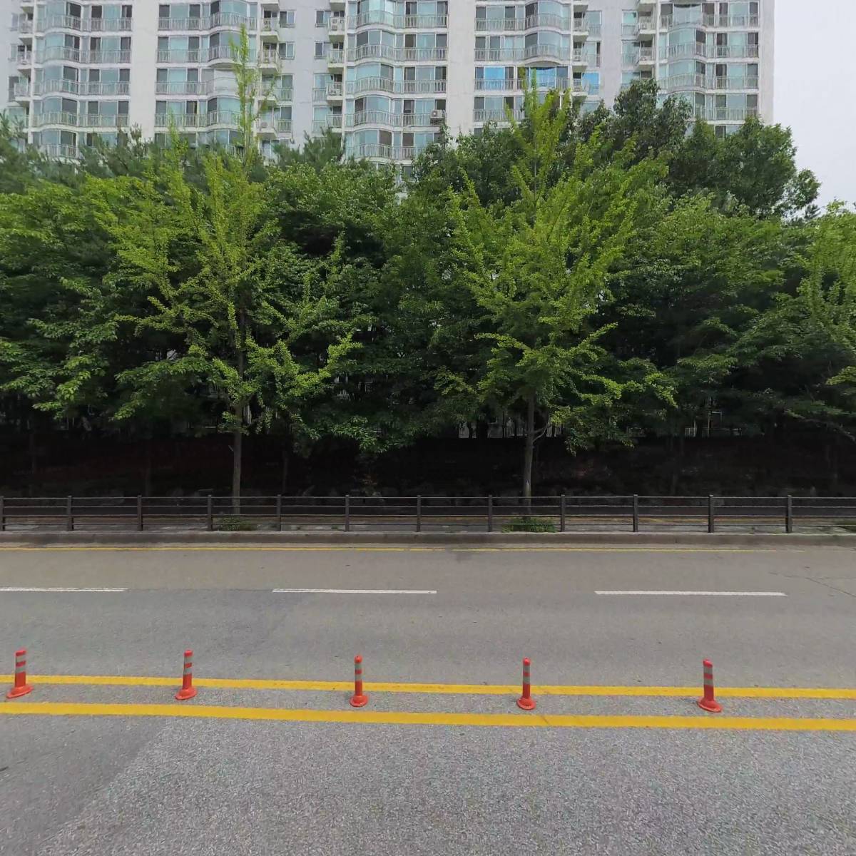 수원고양이호텔 가토캣슬 영통점_3