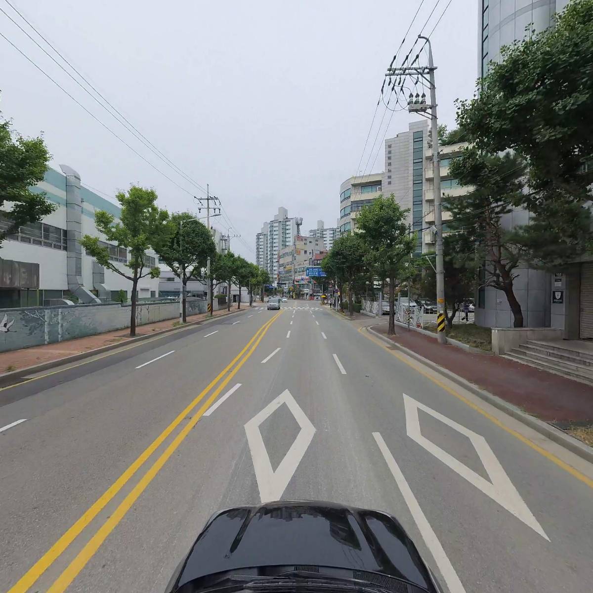 에이치엘비바이오코드 주식회사_4