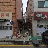 풀잎속의 생명_3