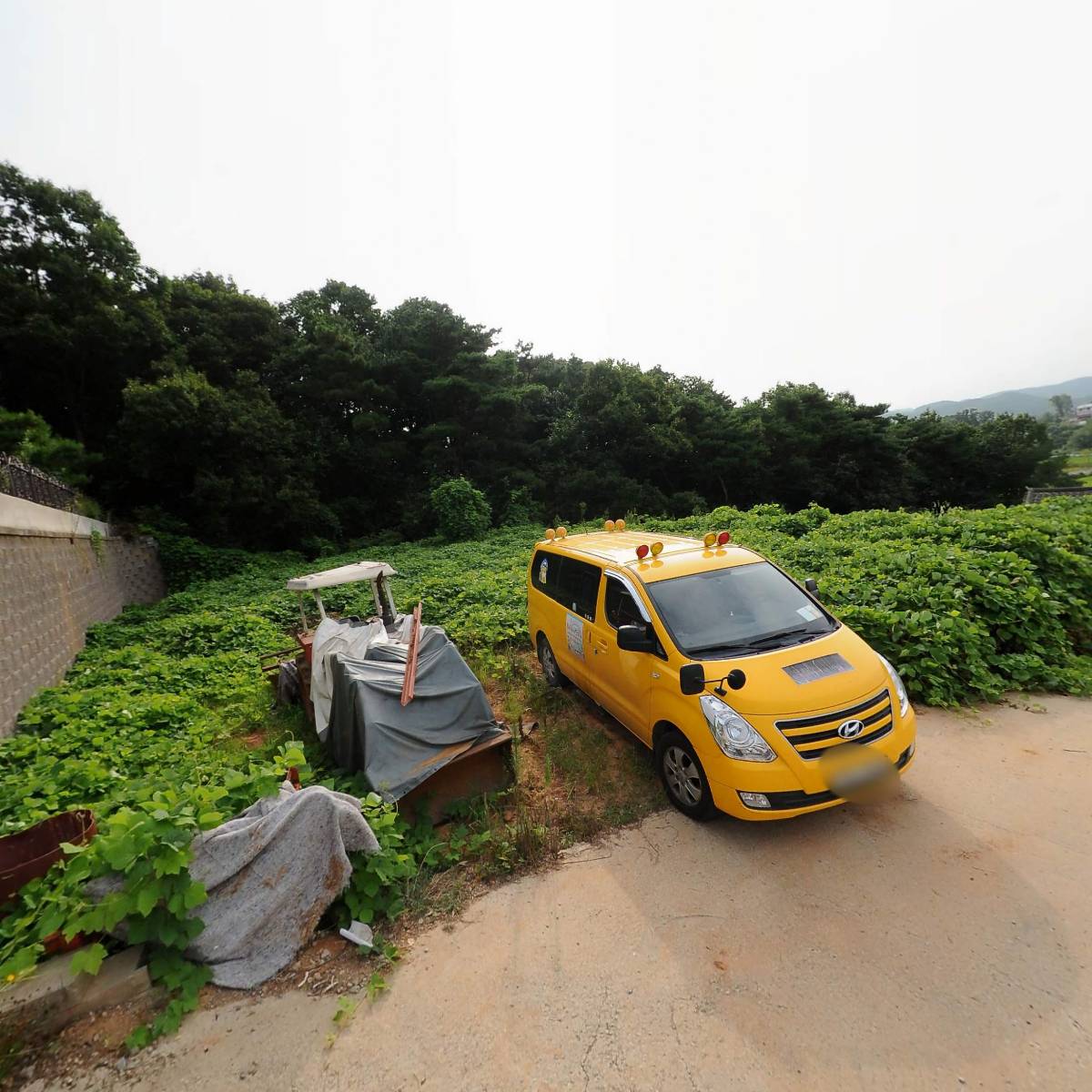 사업하는 팅커벨