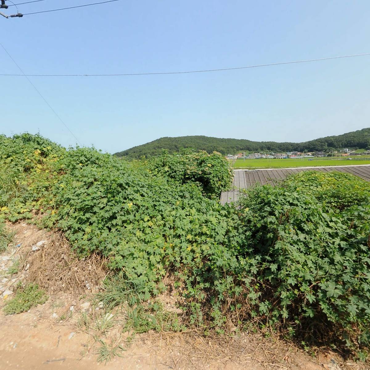 (주)마이넷_3