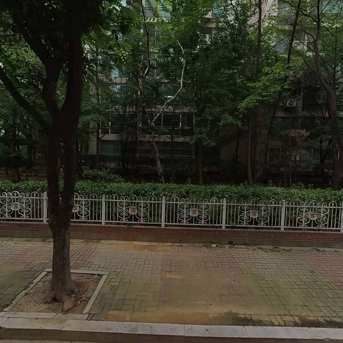 주식회사 닥터휴먼스