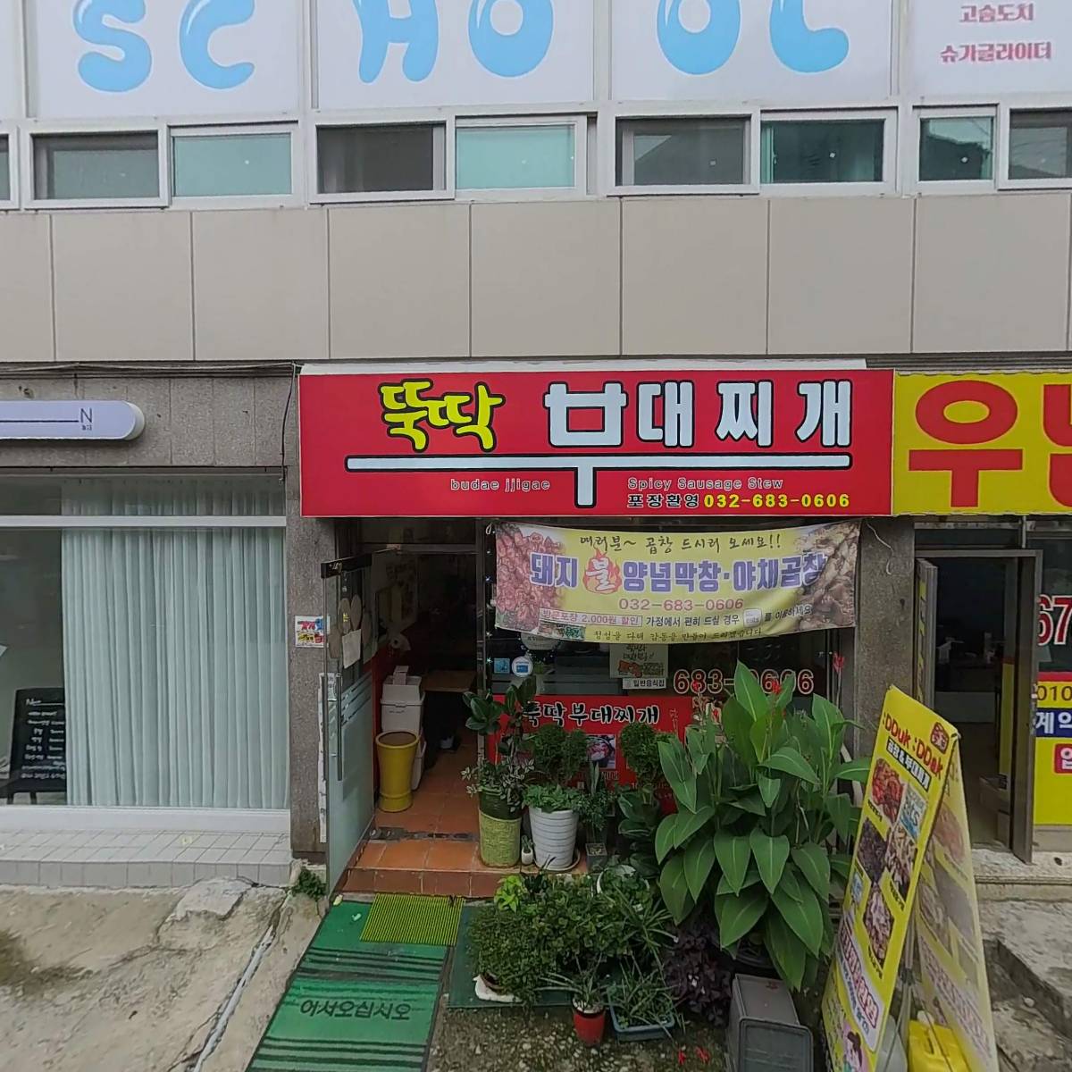 미니펫스쿨(Minipet School)