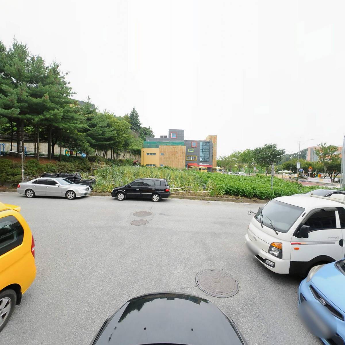 동해수산.참치_4