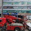 스타종묘사