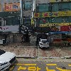 스타종묘사_3