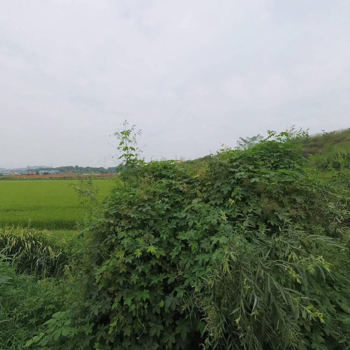 주식회사뫼벨(Mobel)_3