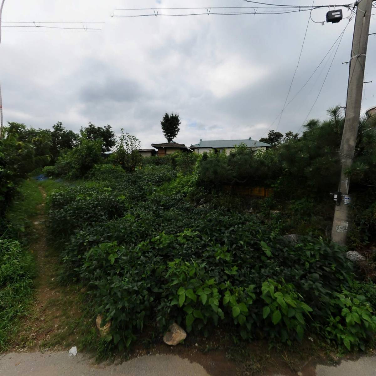 （주）대성의료기_3
