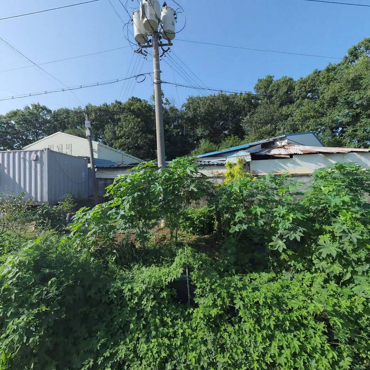 부평비닐_3