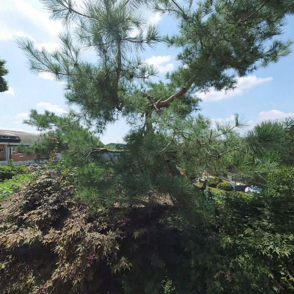 안동김씨 안렴사공파 진사공계강 김포벽정종회