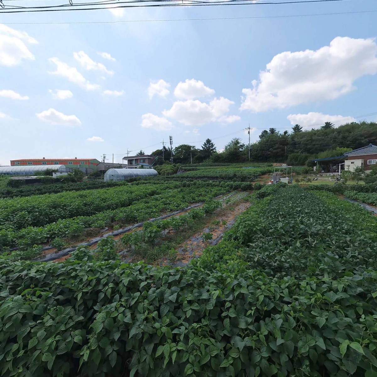 부광인쇄재료상사_3