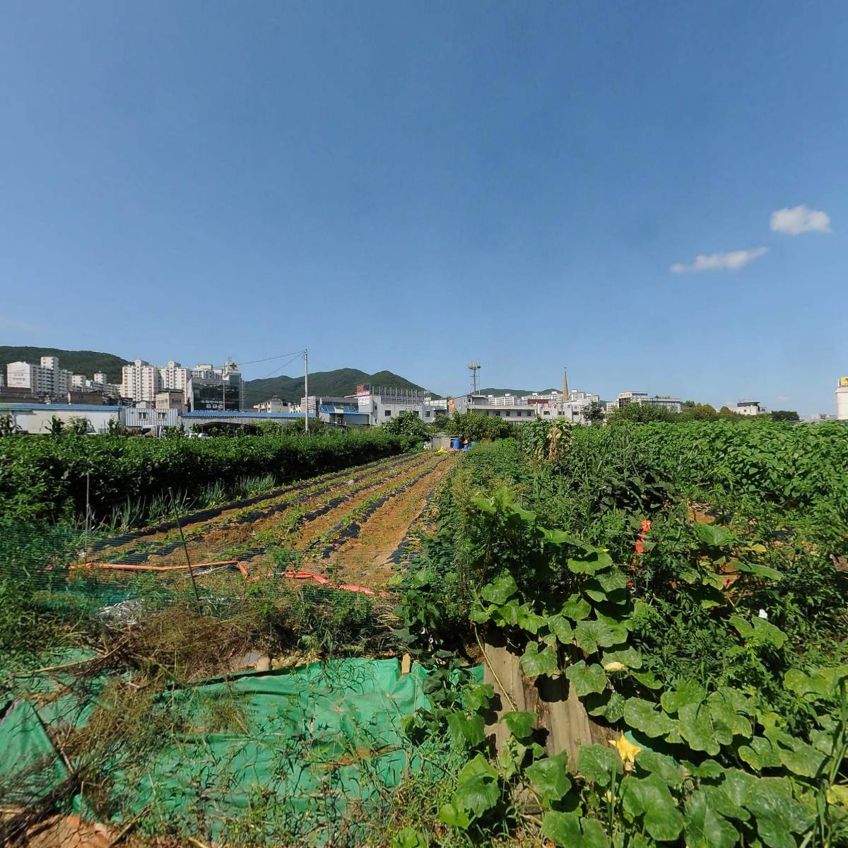 주식회사 두코바