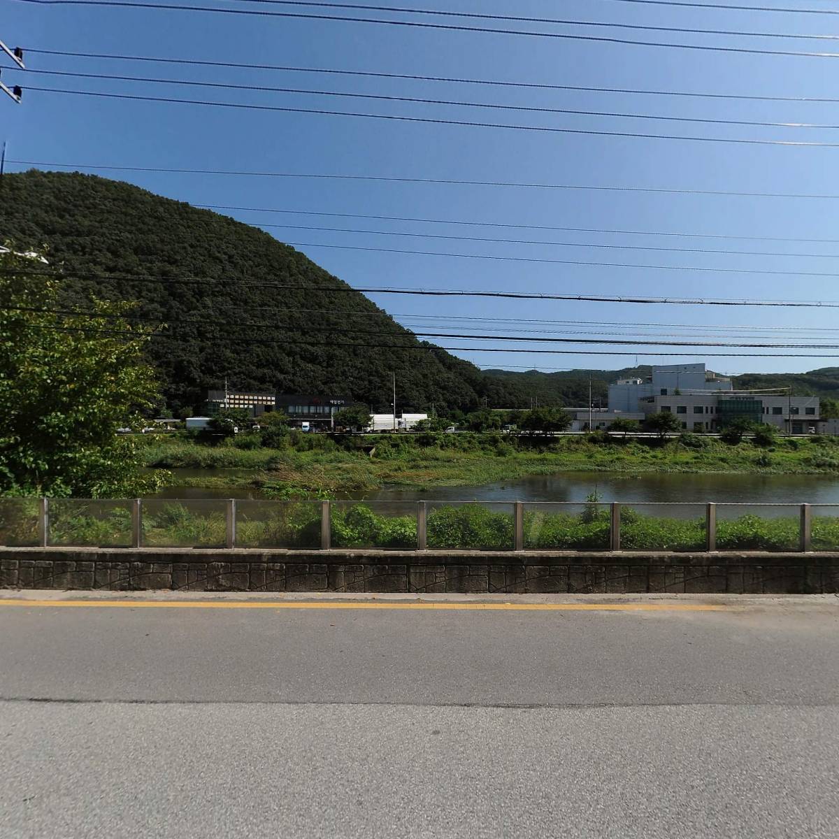 제주통갈치조림_3