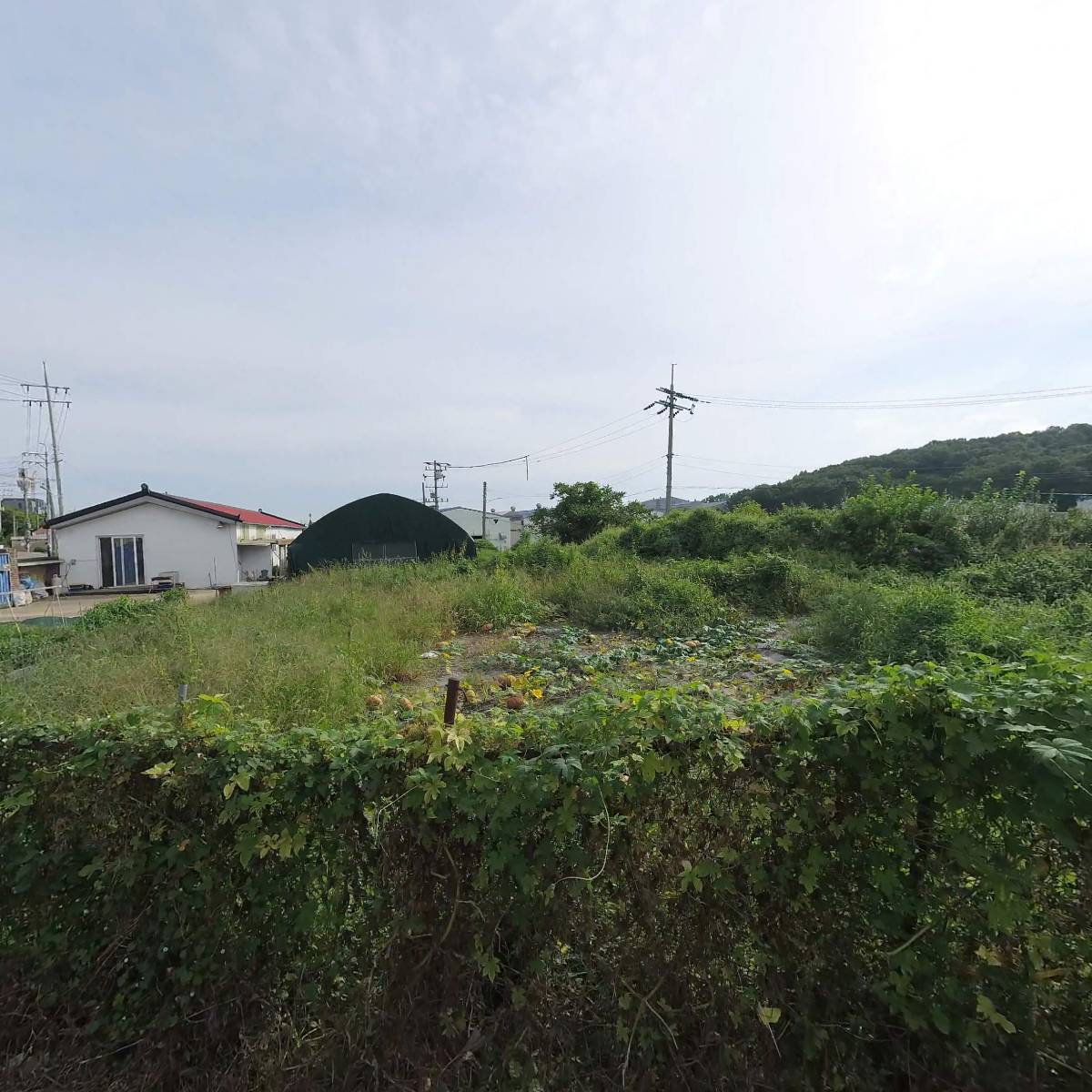 주식회사 베네거_3