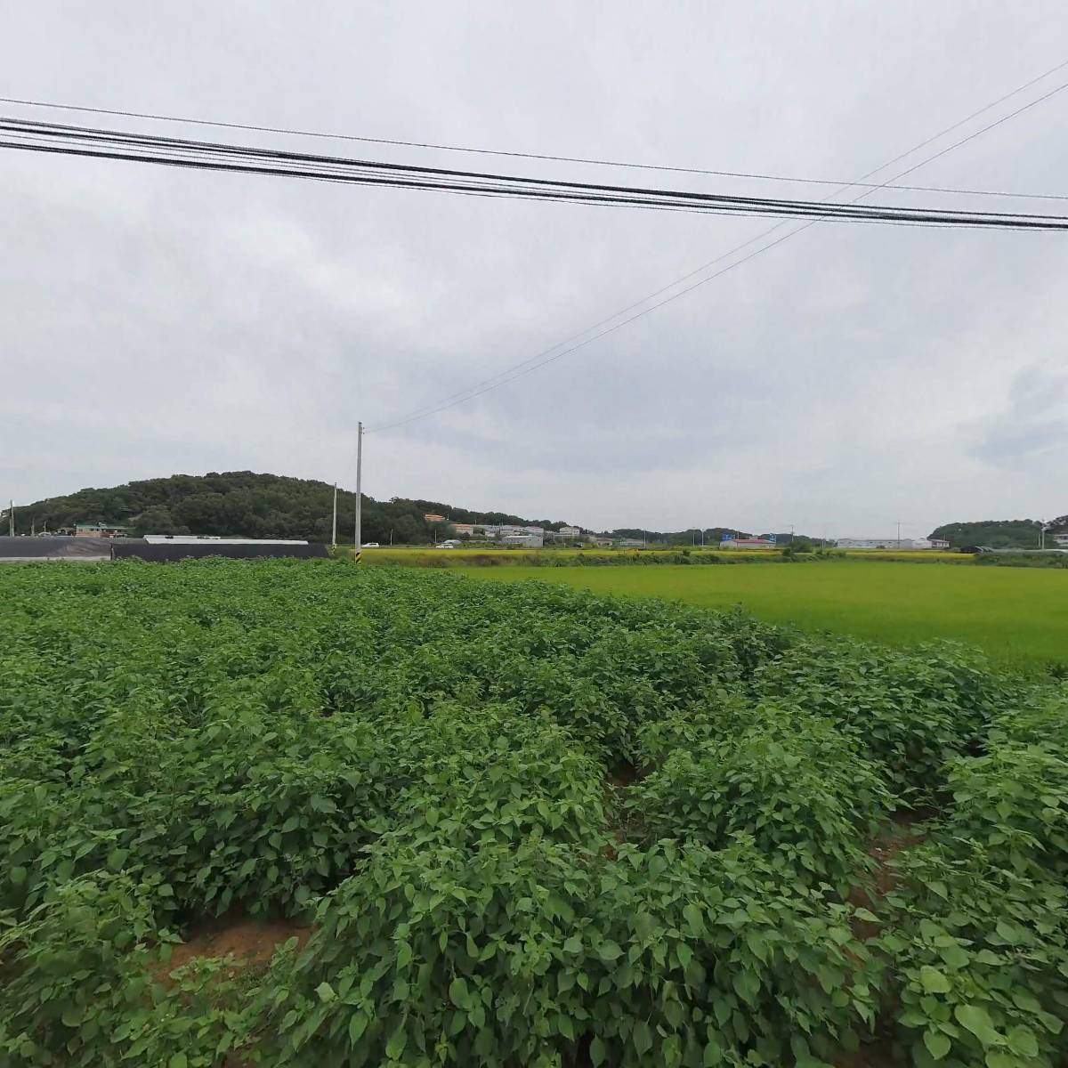 연지텍_3