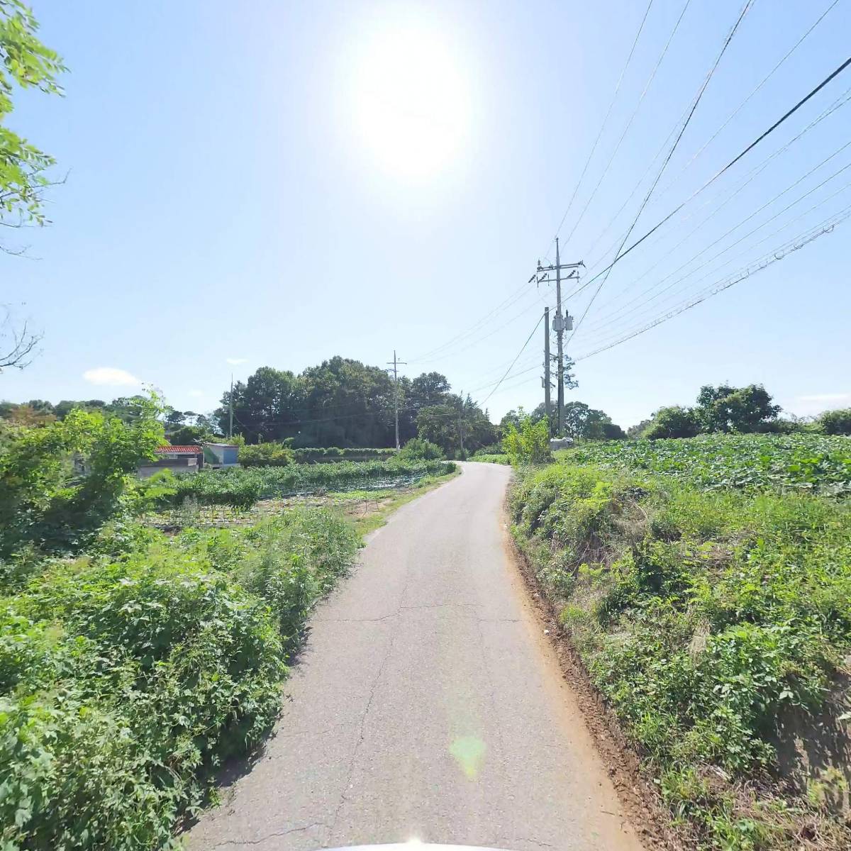 (주)신합수출포장_2
