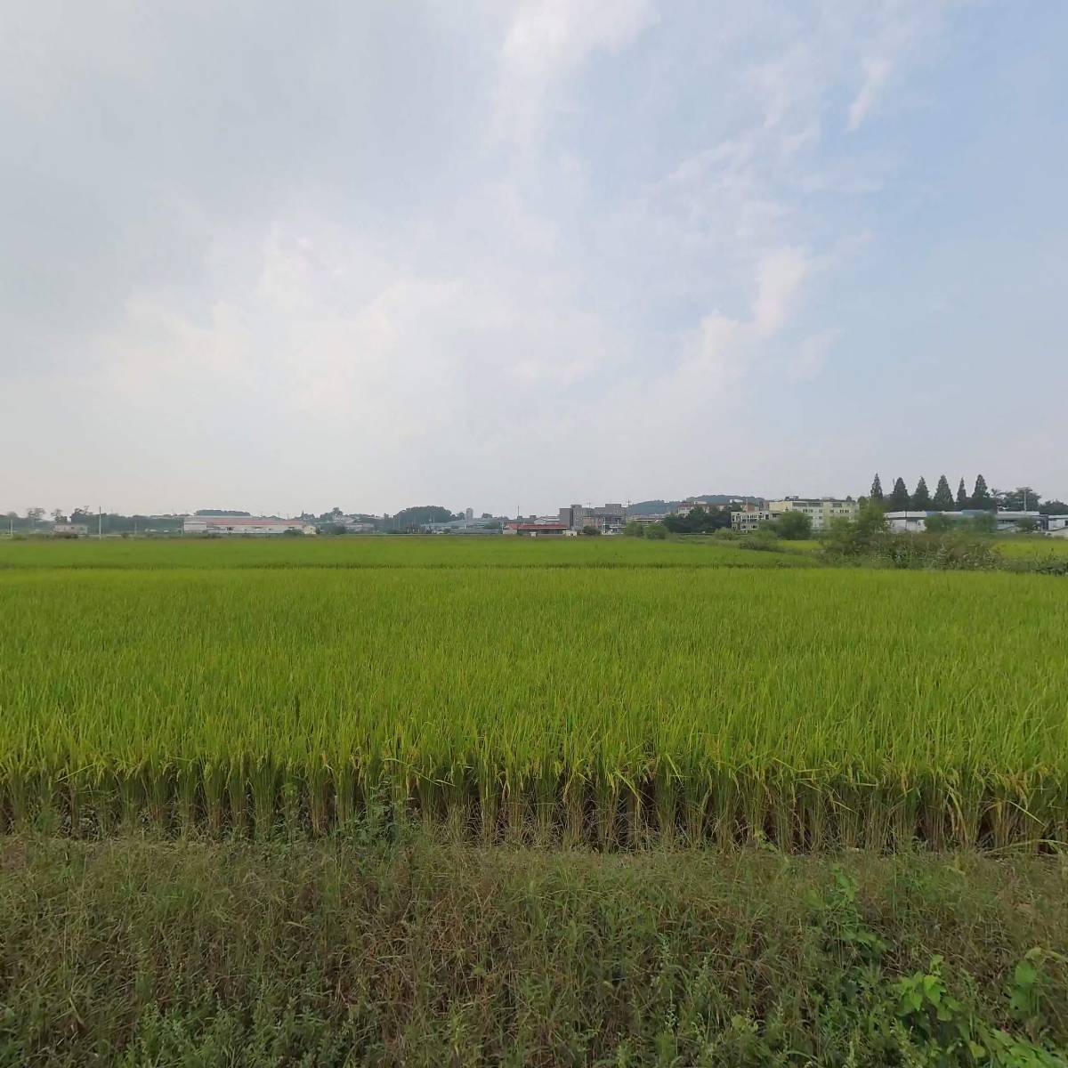 (주)블루앤핑크
