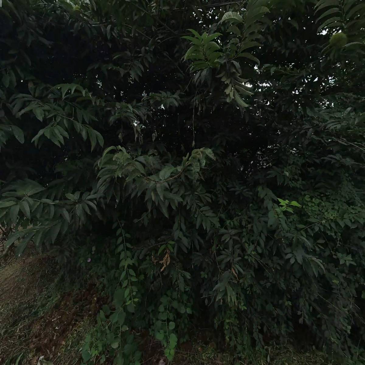 거성메디칼_3