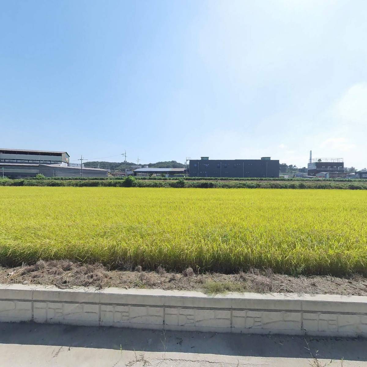 칸델라 tand.a_3