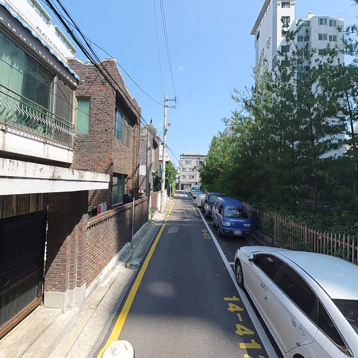 셀리나_2