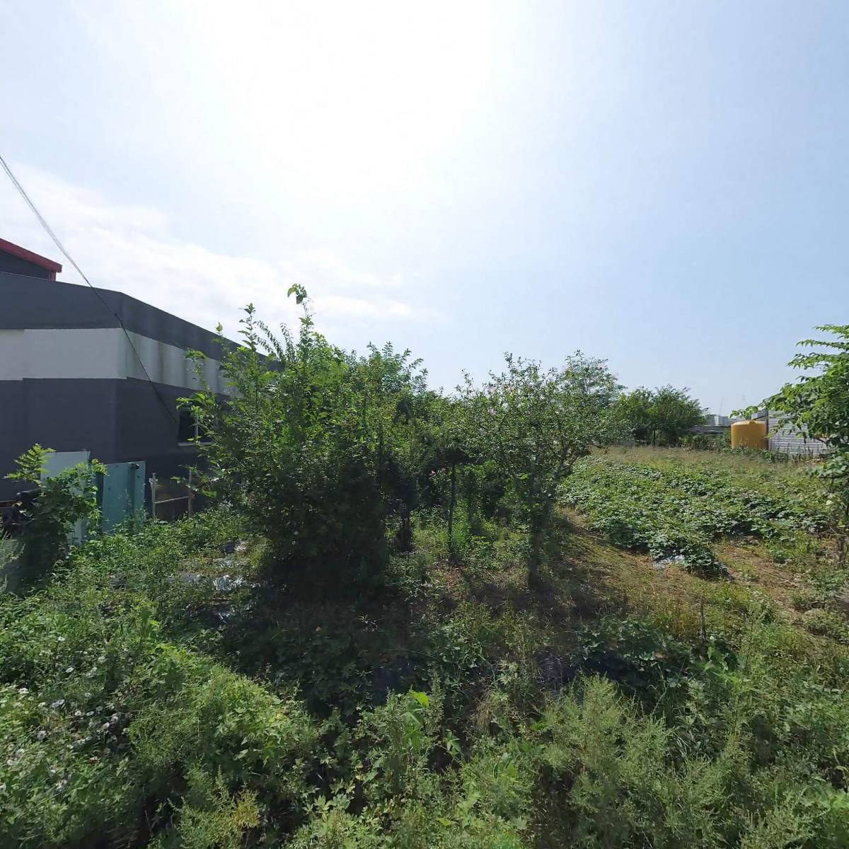 (주)에스피엠씨