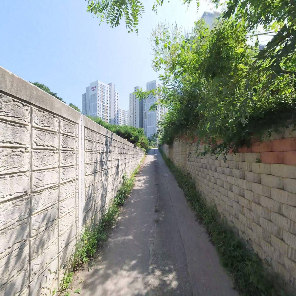 양촌쭈꾸미_2