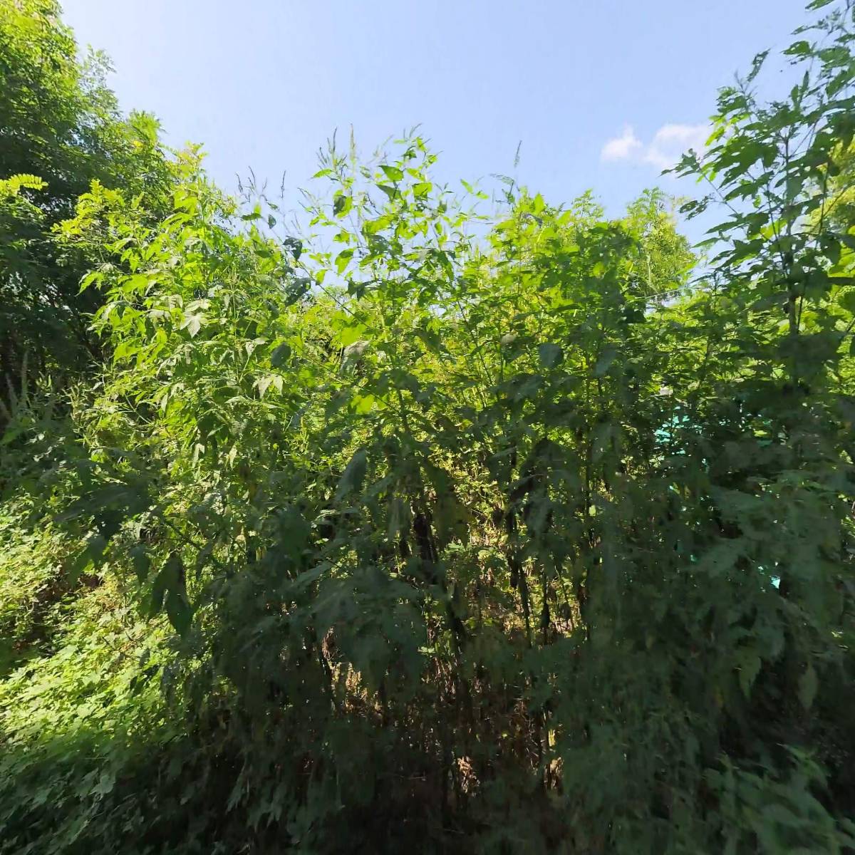 (주)대한개발