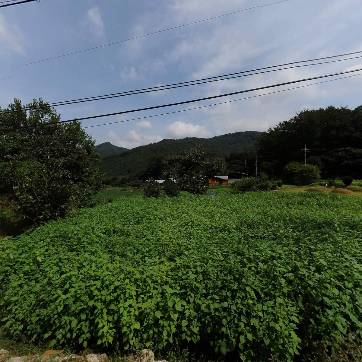 반씨농장_3