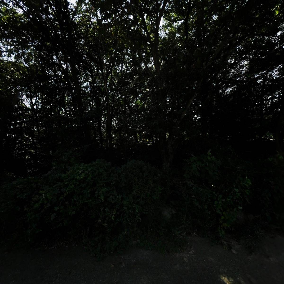 대륭강업(주)