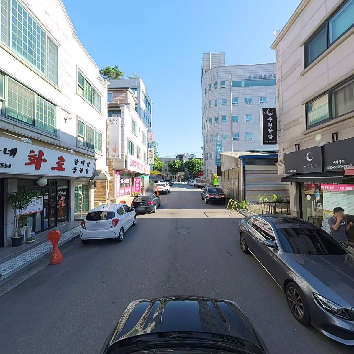 파파후라이돈_4
