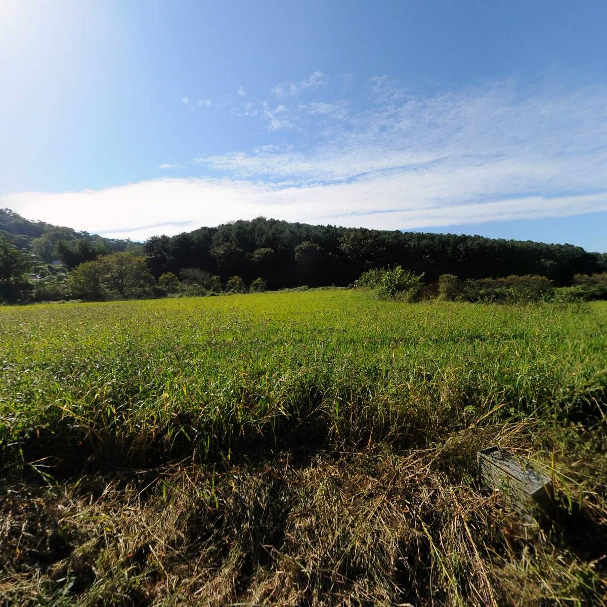 주식회사 리젠브 (Ligenb Co., Ltd.)